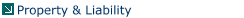 Property & Liability